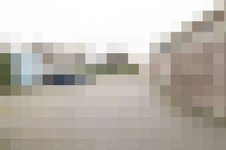 Prinses Marijkeweg 20 c Geldermalsen thumbnail 20
