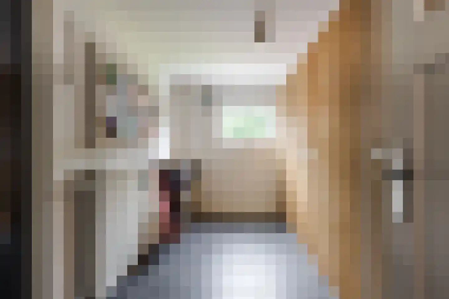Prinses Marijkeweg 26 Meerkerk thumbnail 27