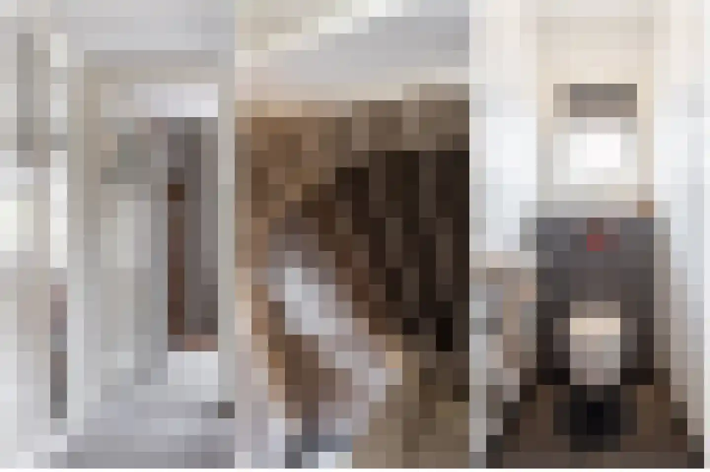 Prinses Marijkeweg 26 Meerkerk thumbnail 31