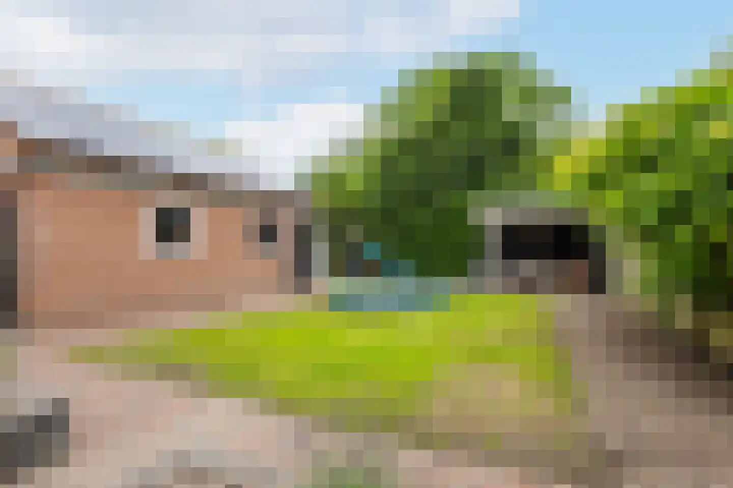 Prinses Marijkeweg 26 Meerkerk thumbnail 55