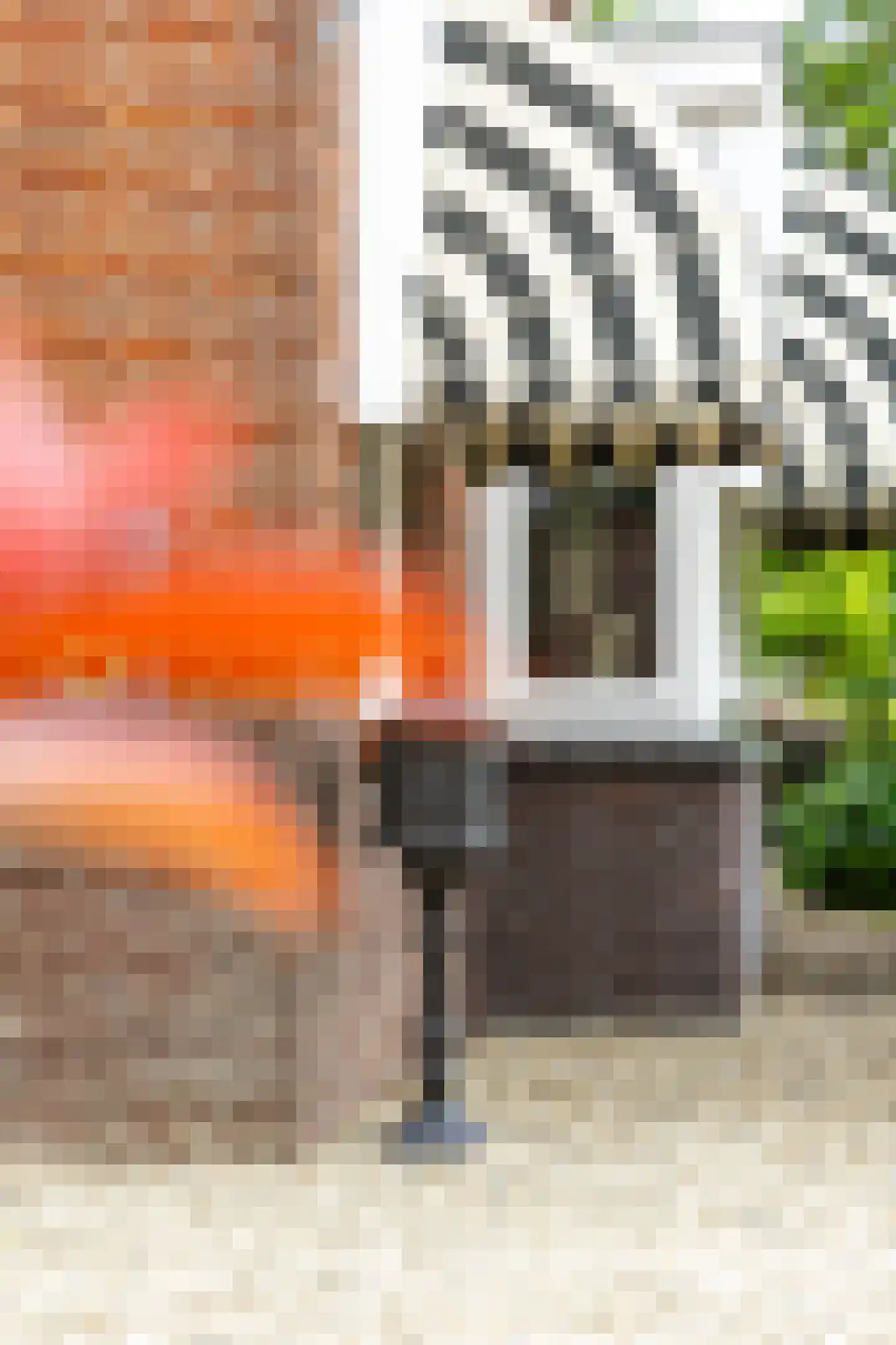 Prinses Marijkeweg 26 Meerkerk thumbnail 63