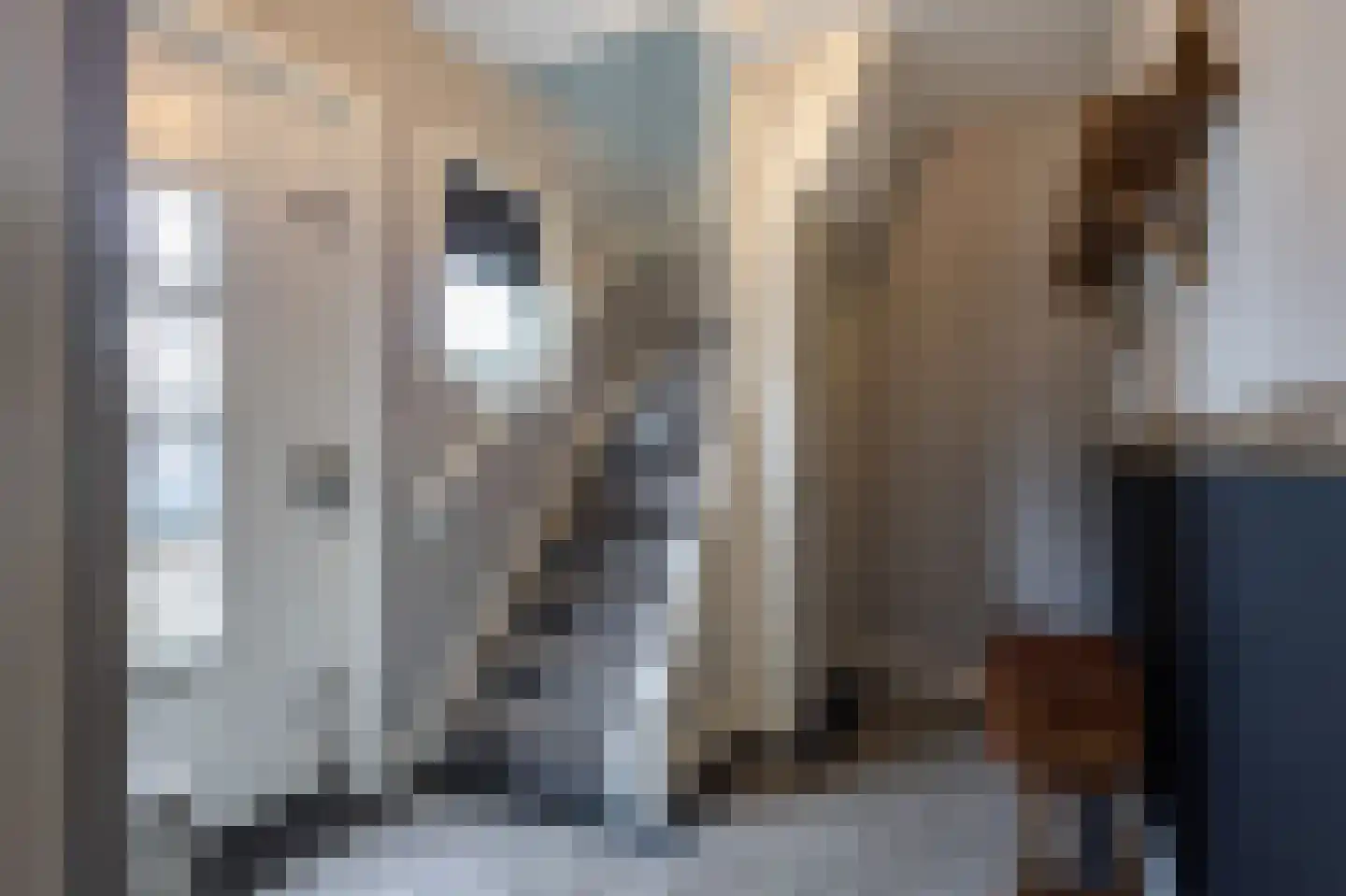 Prinses Marijkeweg 26 Meerkerk thumbnail 8