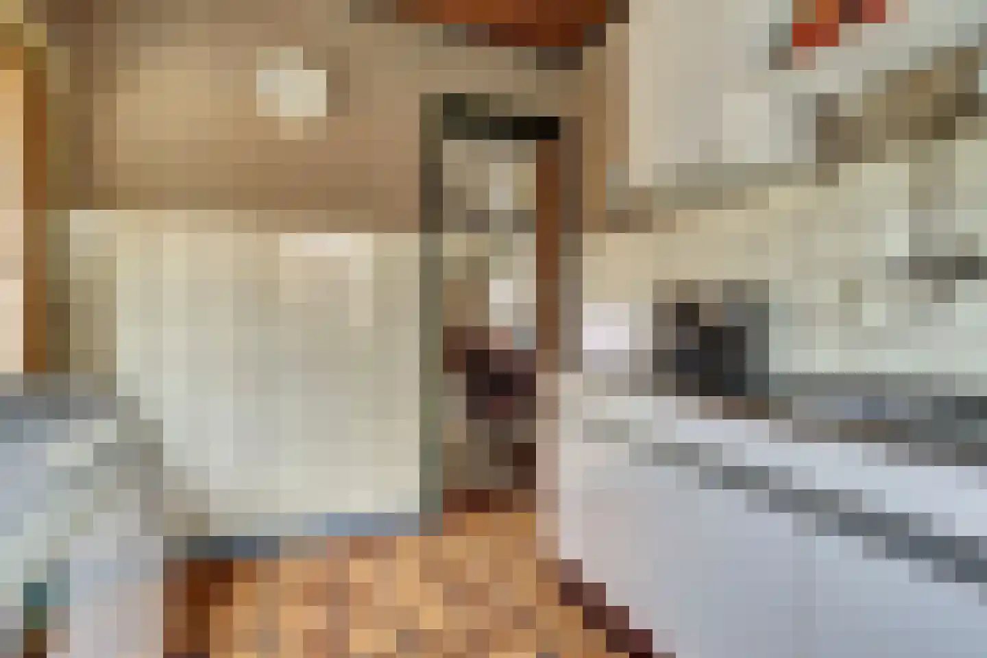 Prinses Marijkeweg 36 Meerkerk thumbnail 14