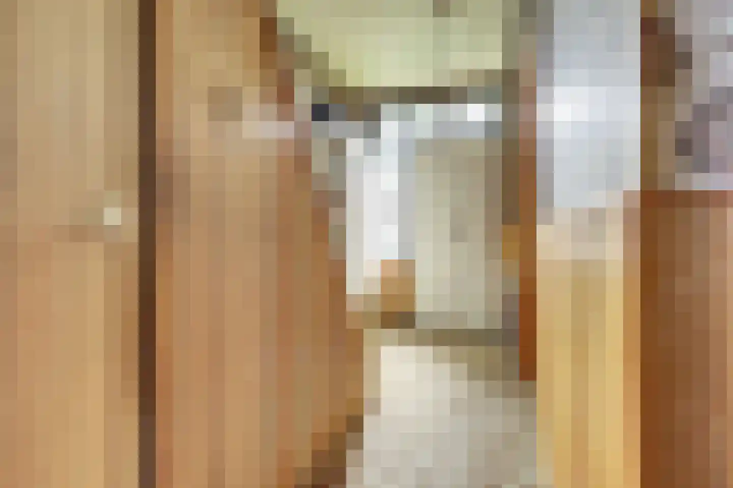 Prinses Marijkeweg 36 Meerkerk thumbnail 19