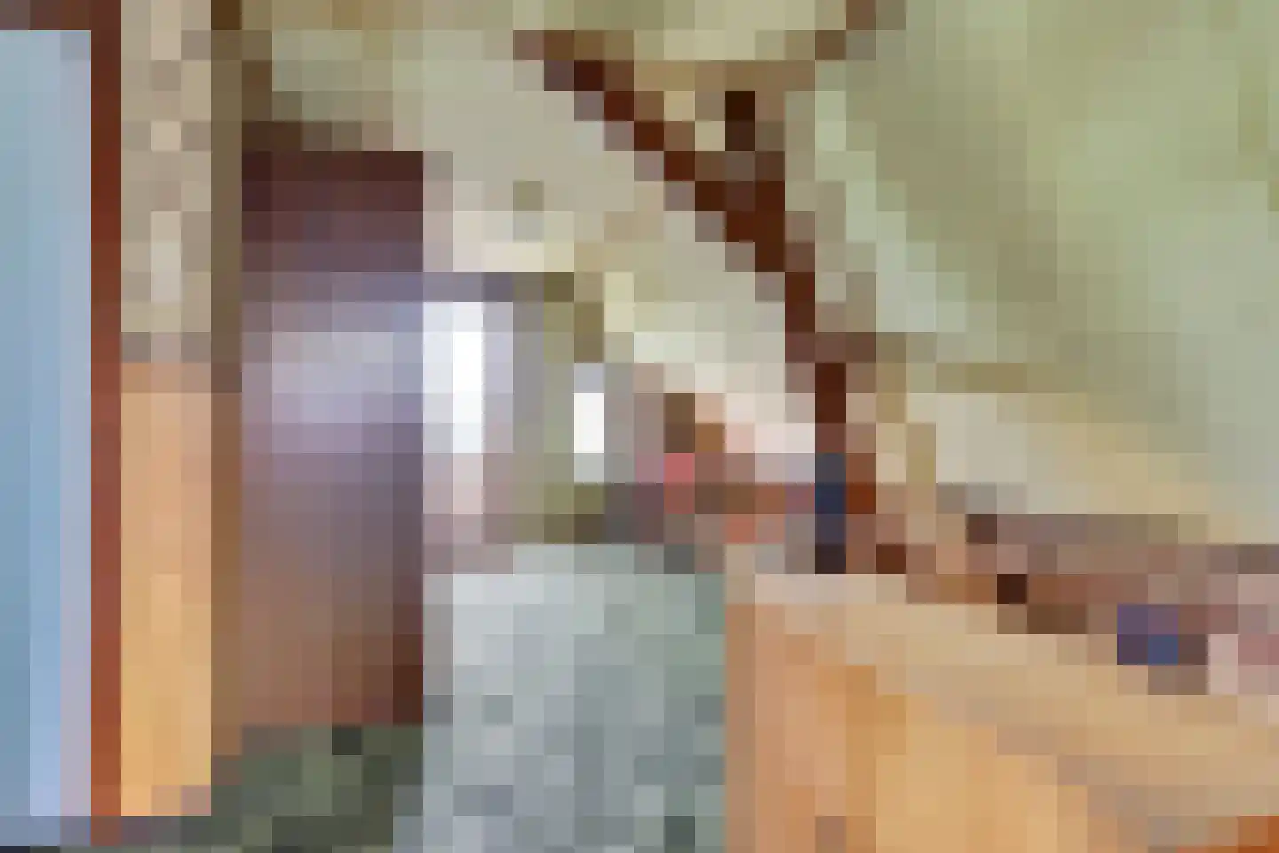 Prinses Marijkeweg 36 Meerkerk thumbnail 22