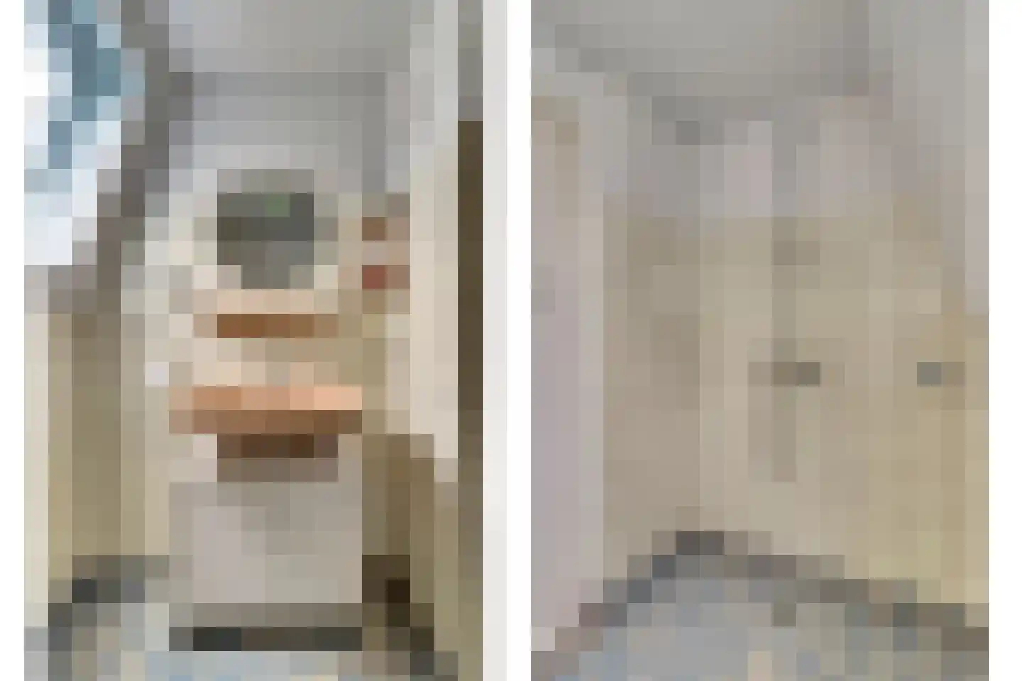 Prinses Marijkeweg 36 Meerkerk thumbnail 34