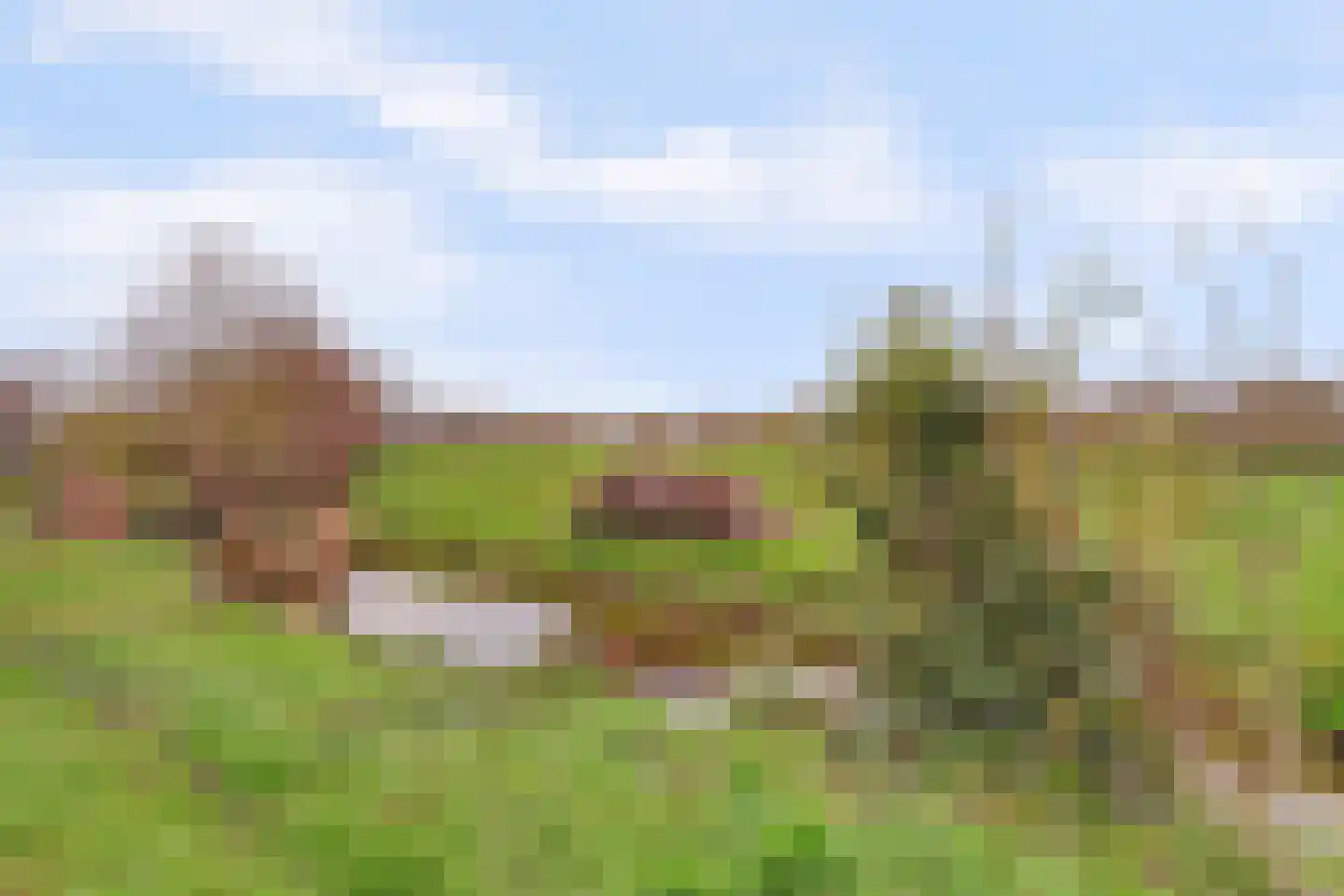 Prinses Marijkeweg 36 Meerkerk thumbnail 41