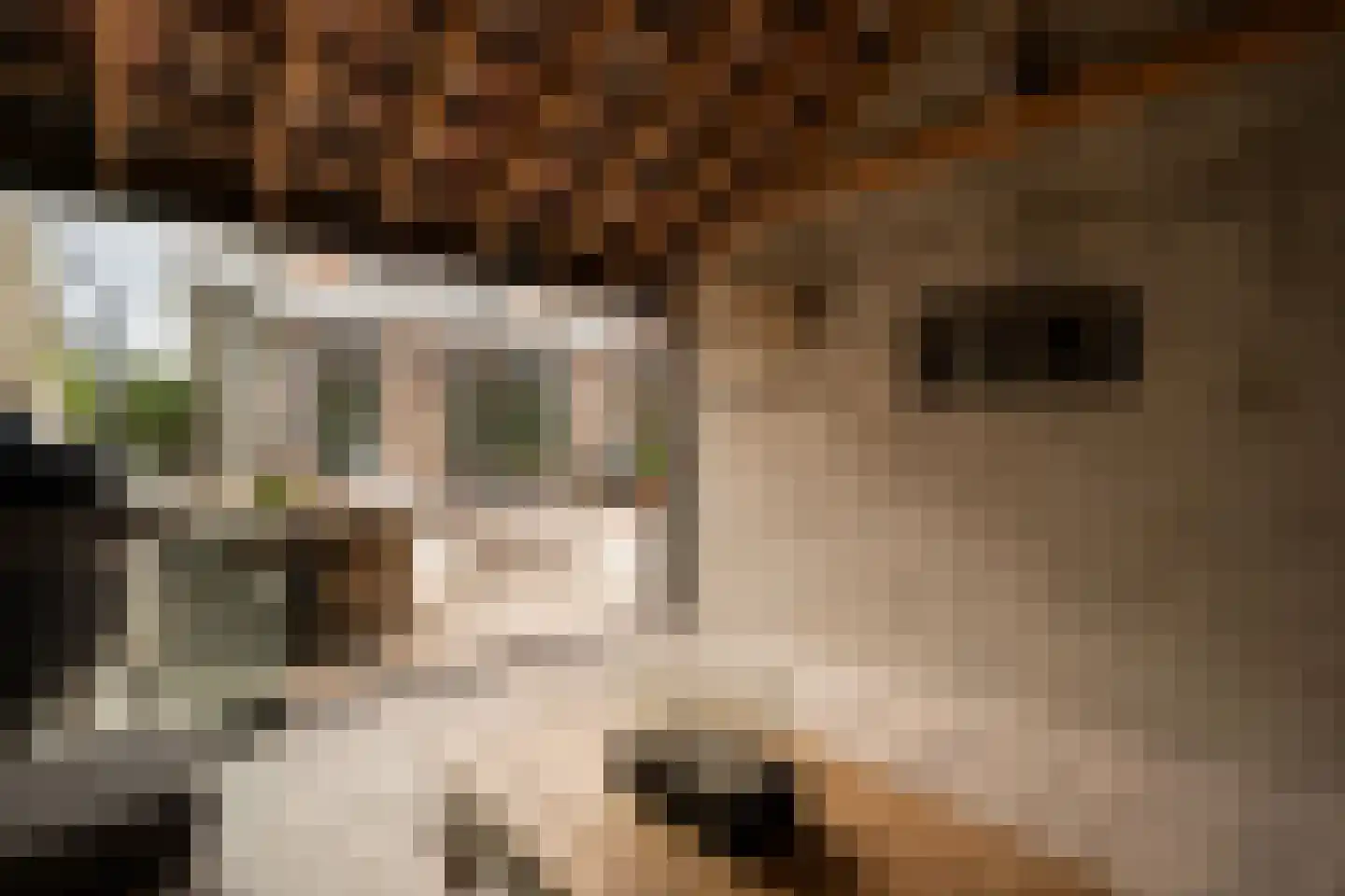 Prinses Marijkeweg 37 Meerkerk thumbnail 29