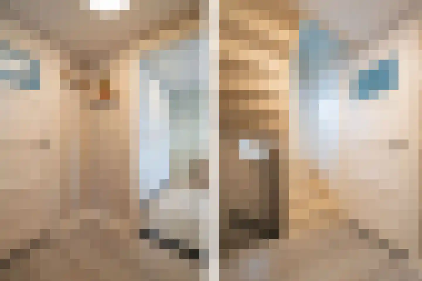 Prinses Marijkeweg 37 Meerkerk thumbnail 33