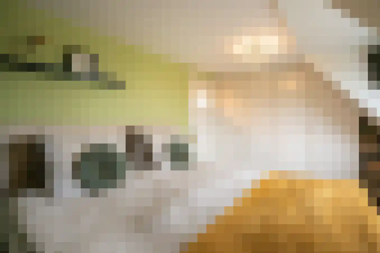 Prinses Marijkeweg 37 Meerkerk thumbnail 34