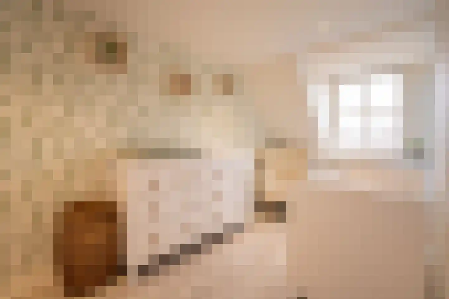 Prinses Marijkeweg 37 Meerkerk thumbnail 38