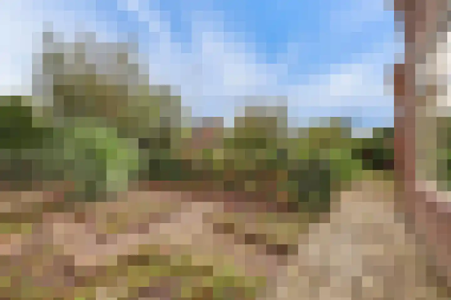 Prinses Marijkeweg 55 Meerkerk thumbnail 31