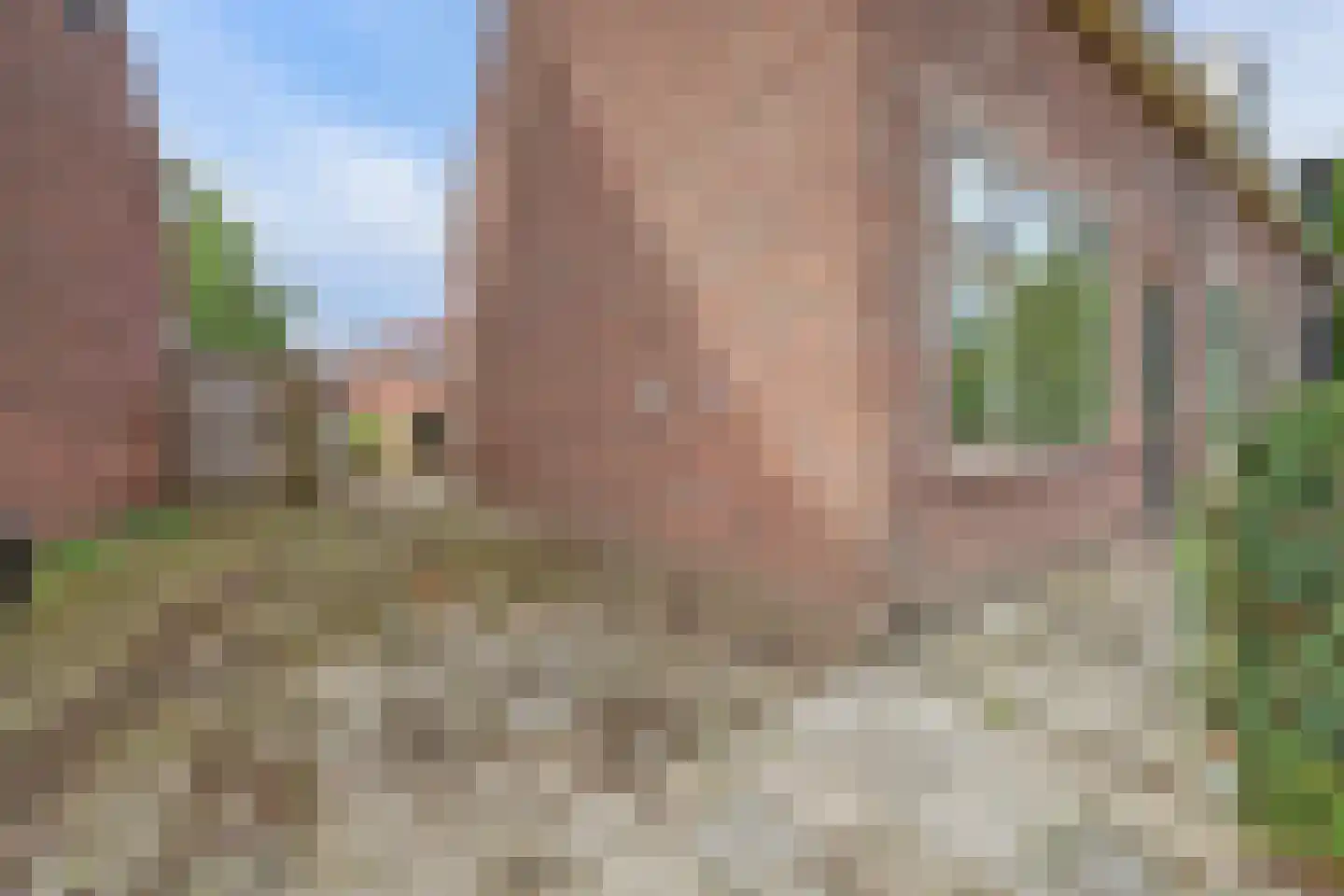 Prinses Marijkeweg 55 Meerkerk thumbnail 32