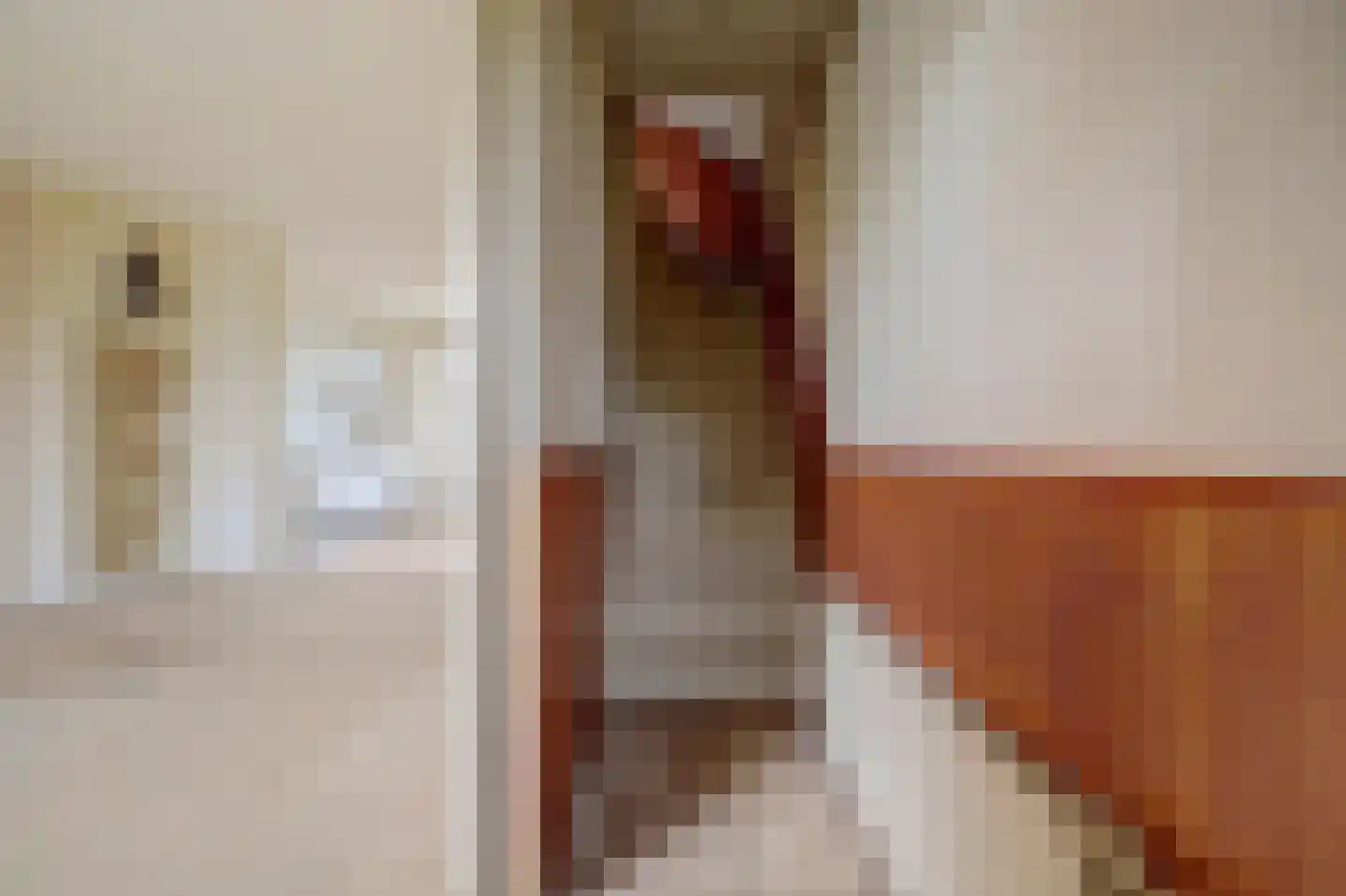 Prinses Marijkeweg 55 Meerkerk thumbnail 8
