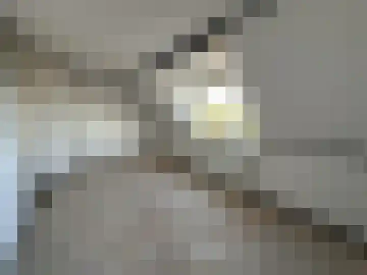 Prinses Marijkeweg 57 Meerkerk thumbnail 10