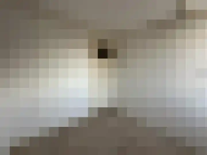 Prinses Marijkeweg 57 Meerkerk thumbnail 11