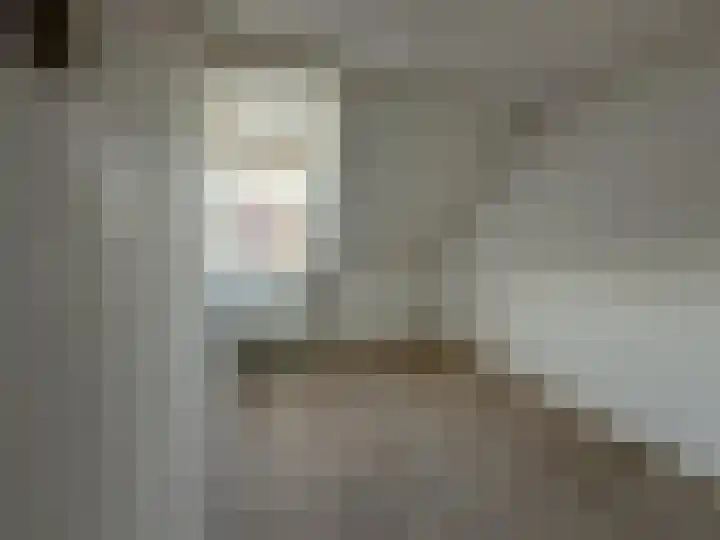 Prinses Marijkeweg 57 Meerkerk thumbnail 12