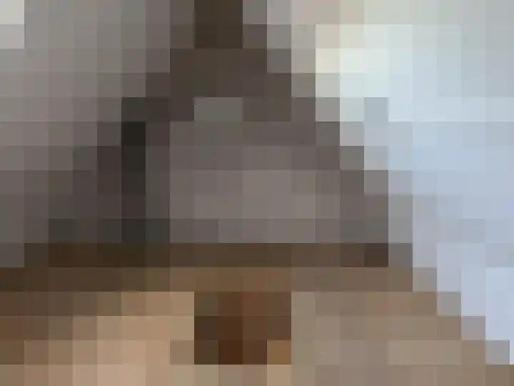 Prinses Marijkeweg 57 Meerkerk thumbnail 14