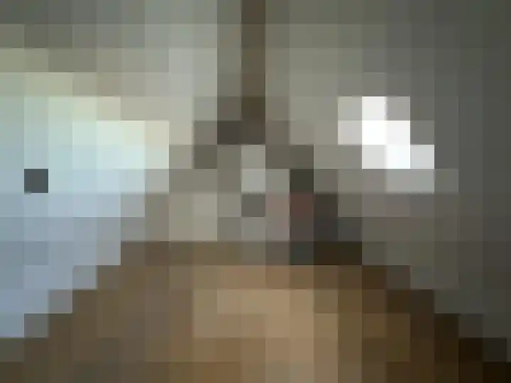 Prinses Marijkeweg 57 Meerkerk thumbnail 15