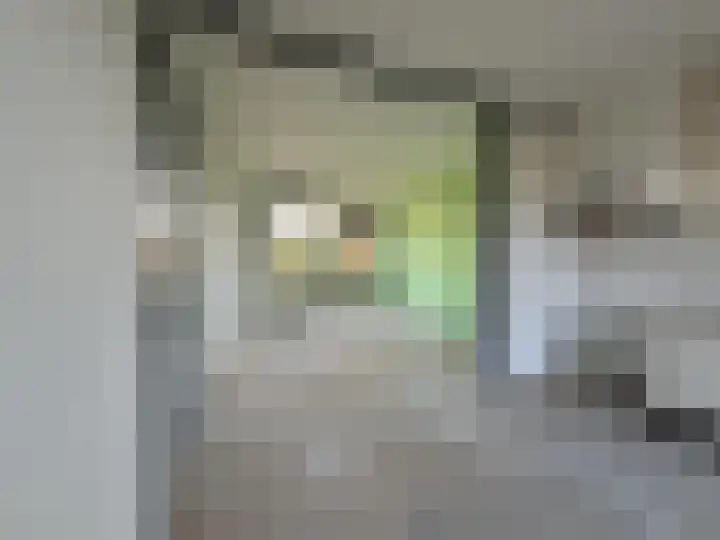 Prinses Marijkeweg 57 Meerkerk thumbnail 4