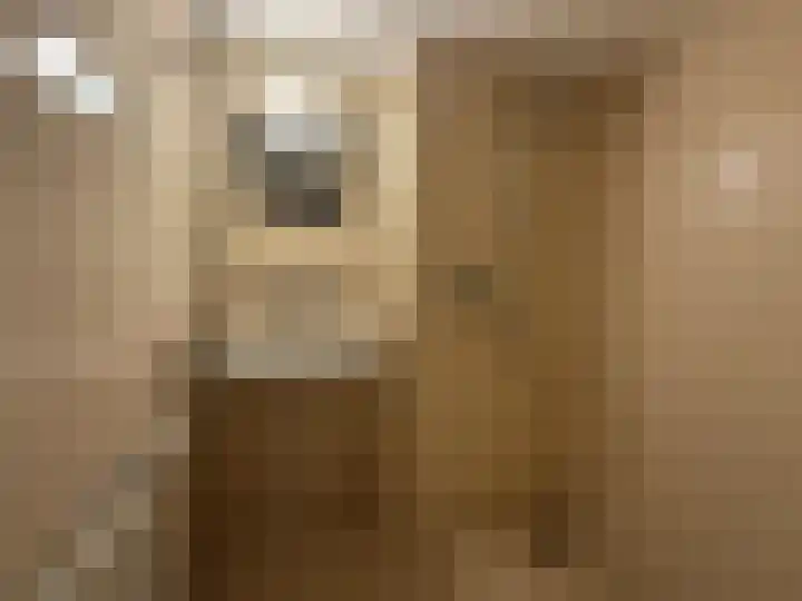 Prinses Marijkeweg 57 Meerkerk thumbnail 8