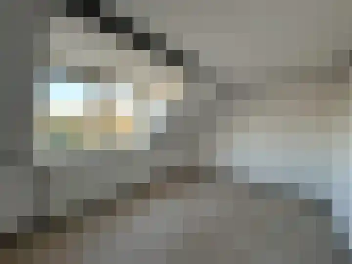 Prinses Marijkeweg 57 Meerkerk thumbnail 9