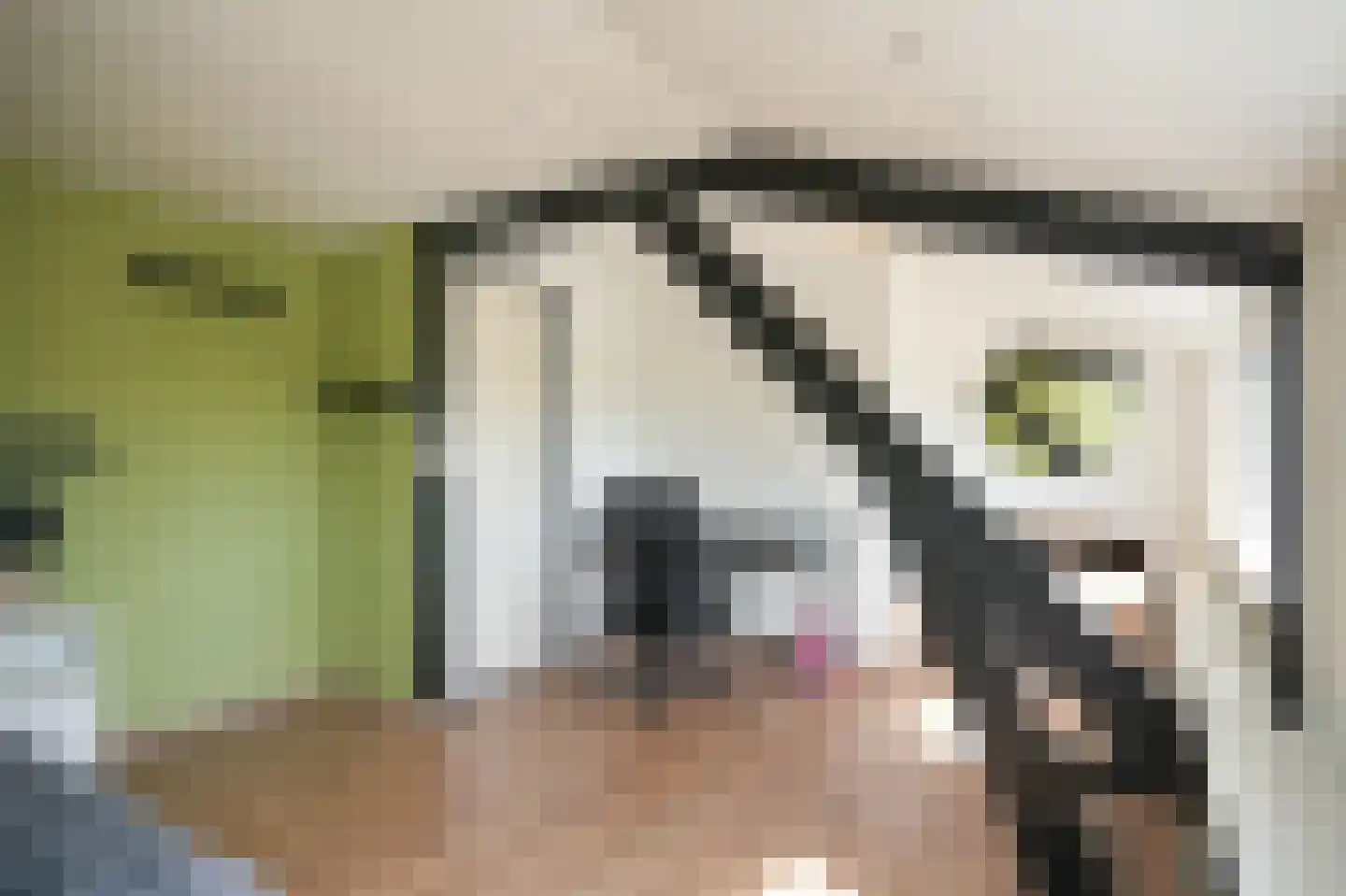 Prinses Marijkeweg 69 Ameide thumbnail 22