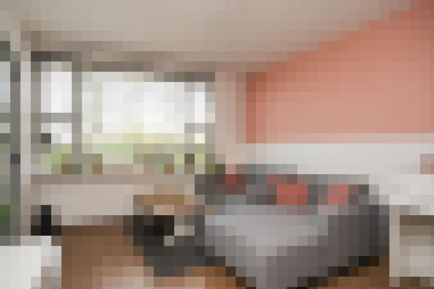 Prinses Marijkeweg 69 Ameide thumbnail 9