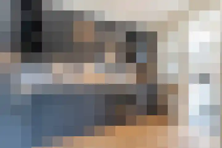 Prinses Marijkeweg 7 Meerkerk thumbnail 11