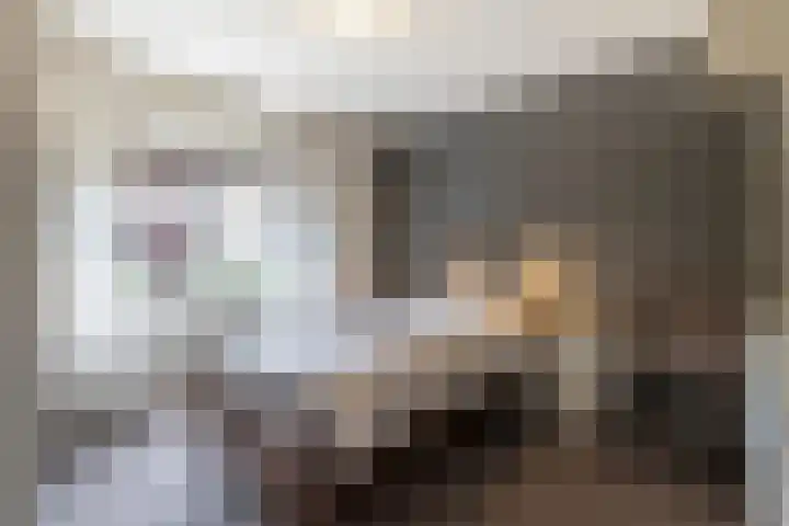 Prinses Marijkeweg 7 Meerkerk thumbnail 16