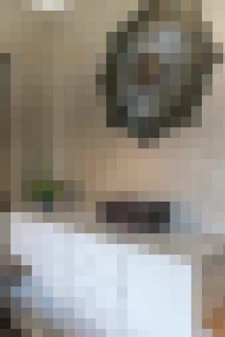 Prinses Marijkeweg 7 Meerkerk thumbnail 17