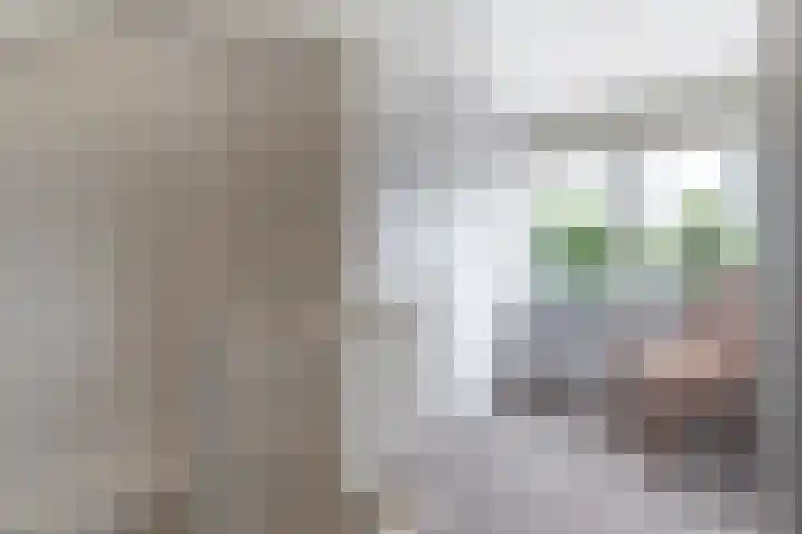 Prinses Marijkeweg 7 Meerkerk thumbnail 23
