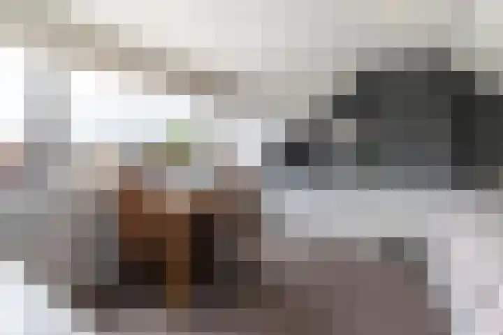 Prinses Marijkeweg 7 Meerkerk thumbnail 24