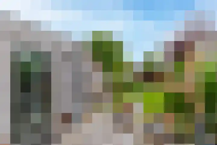 Prinses Marijkeweg 7 Meerkerk thumbnail 25