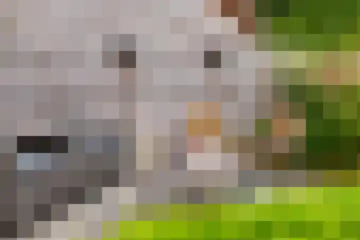 Prinses Marijkeweg 7 Meerkerk thumbnail 31