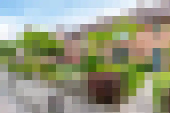 Prinses Marijkeweg 7 Meerkerk thumbnail 32