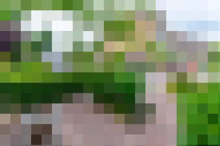 Prinses Marijkeweg 7 Meerkerk thumbnail 33