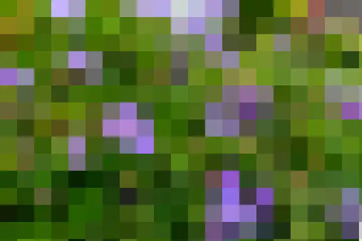 Prinses Marijkeweg 7 Meerkerk thumbnail 34