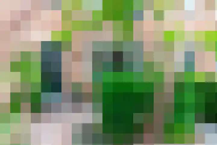 Prinses Marijkeweg 7 Meerkerk thumbnail 4