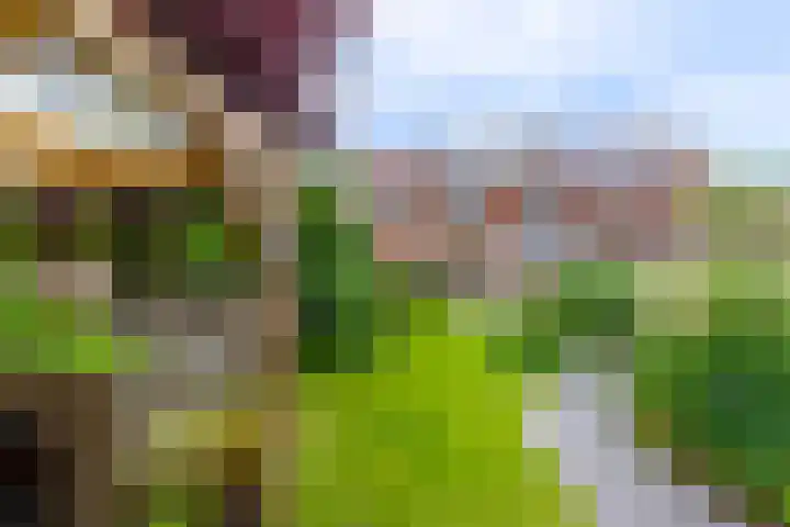 Prinses Marijkeweg 7 Meerkerk thumbnail 40