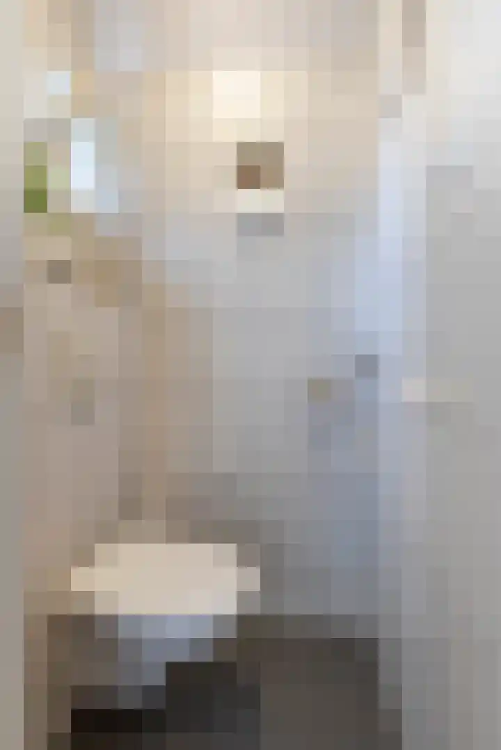 Prinses Marijkeweg 7 Meerkerk thumbnail 6