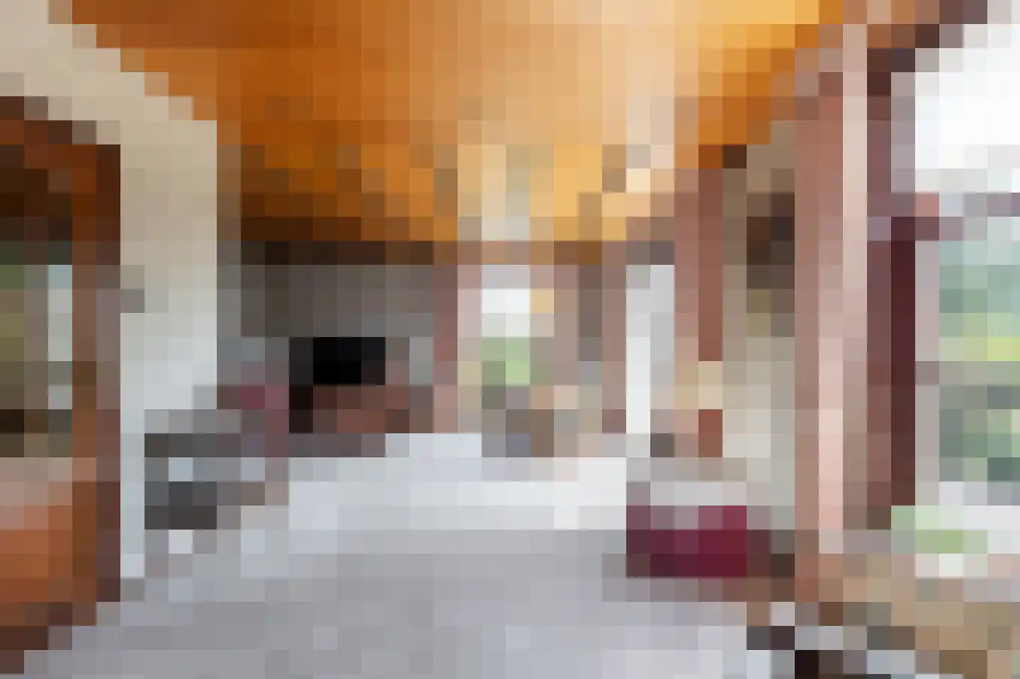 Prinses Marijkeweg 79 Ameide thumbnail 13