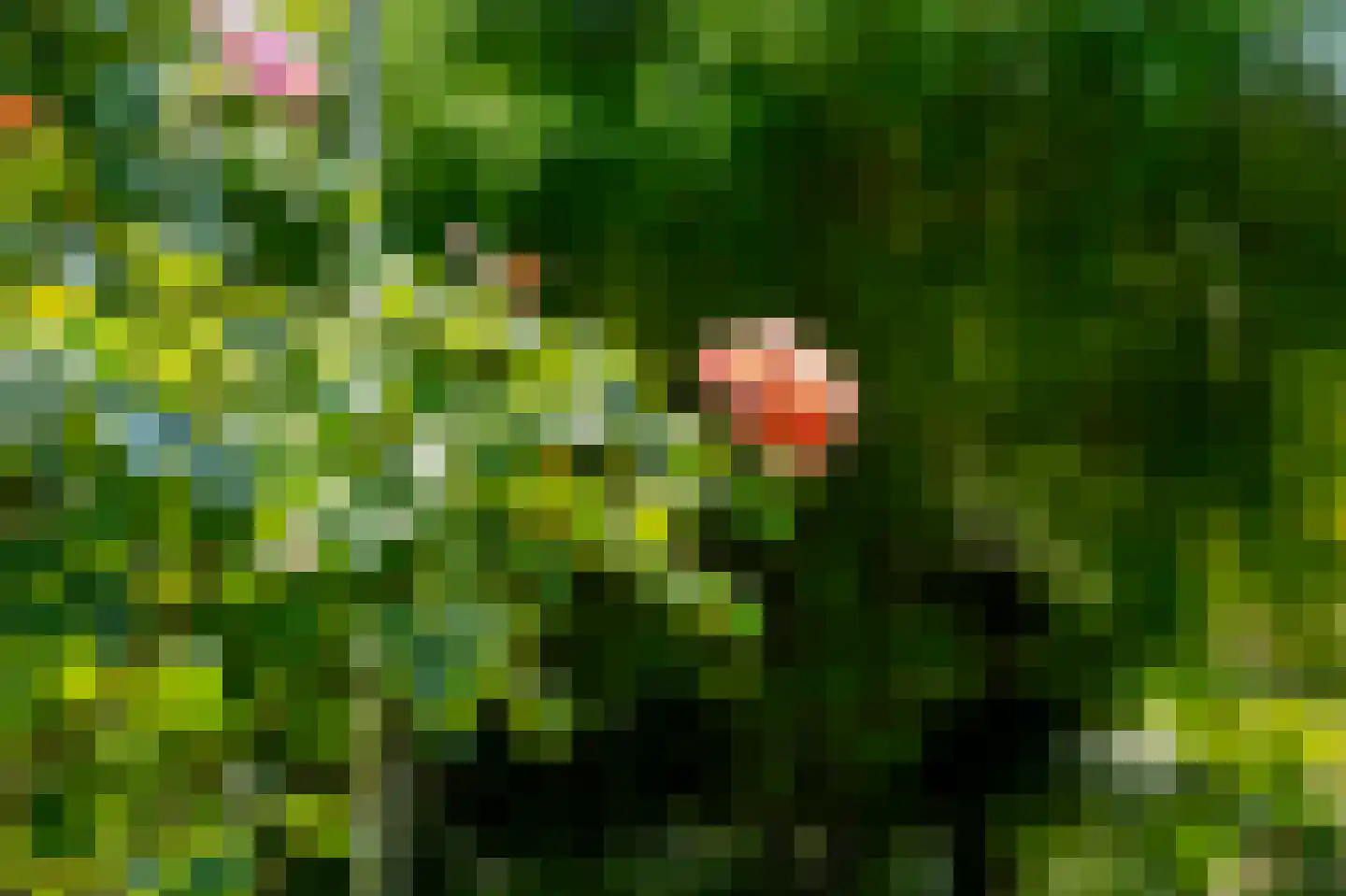Prinses Marijkeweg 79 Ameide thumbnail 30