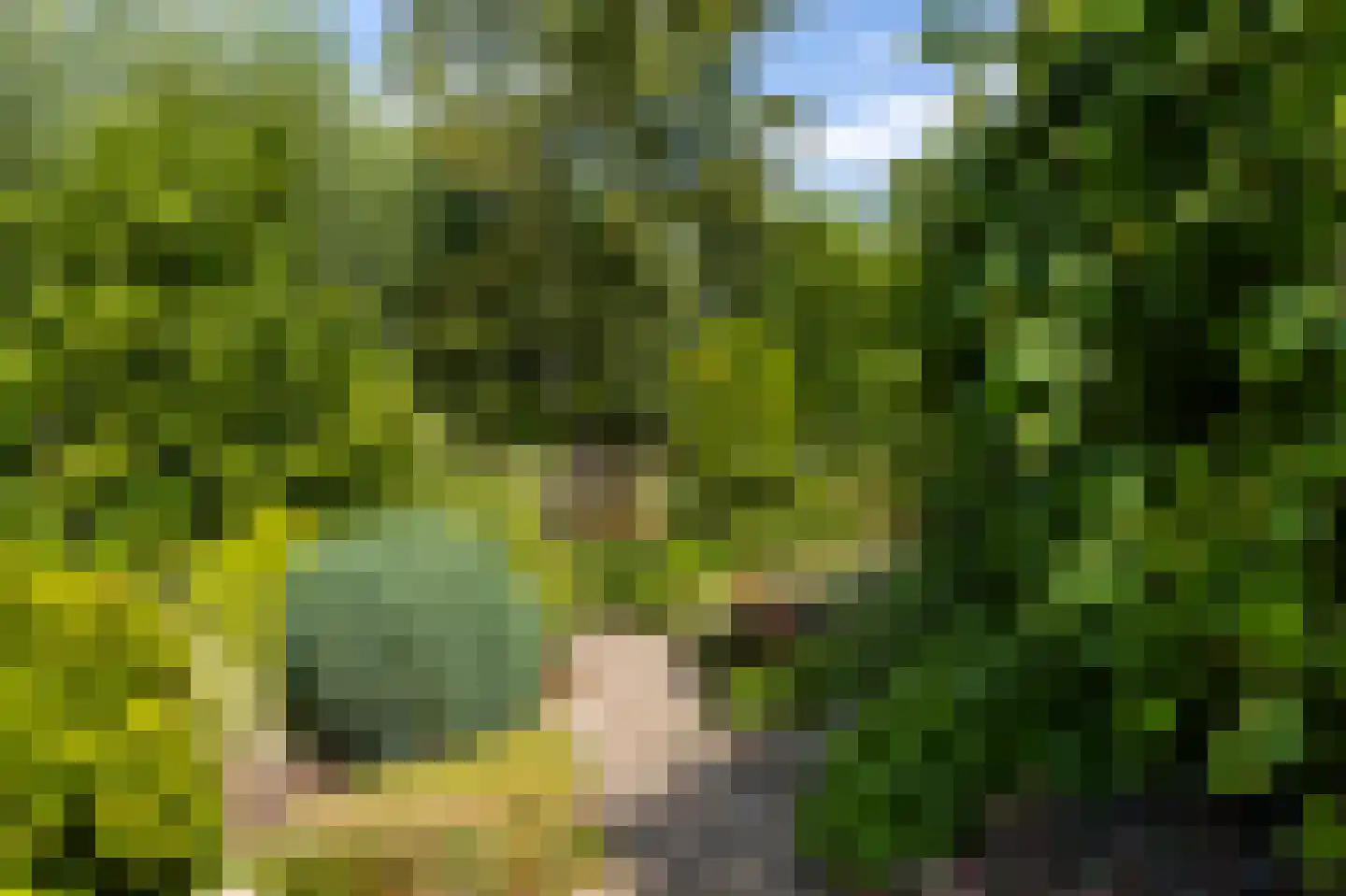 Prinses Marijkeweg 79 Ameide thumbnail 35