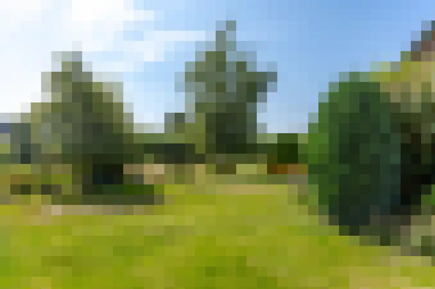Prinses Marijkeweg 79 Ameide thumbnail 45