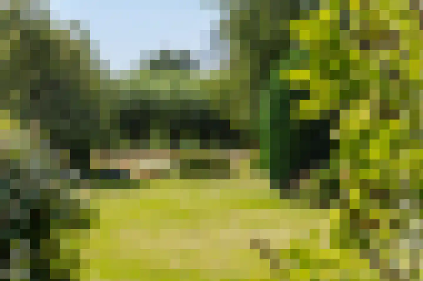 Prinses Marijkeweg 79 Ameide thumbnail 6