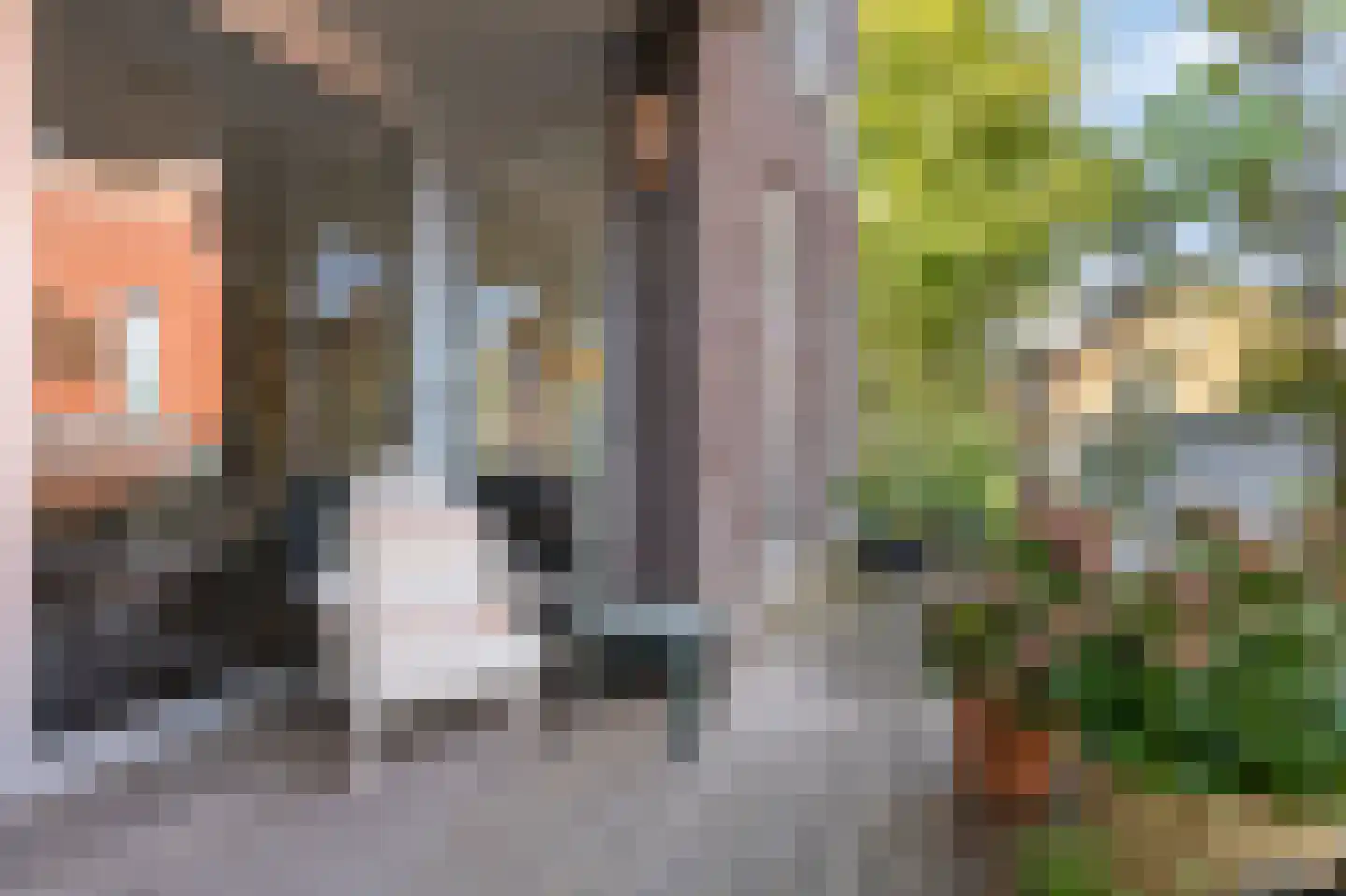 Prinses Máximastraat 12 Velp thumbnail 23