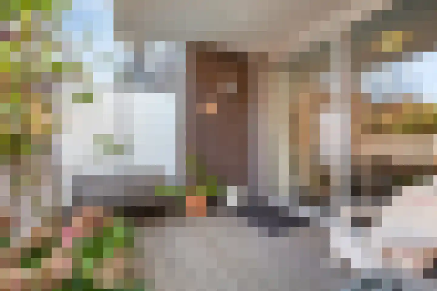 Prinses Máximastraat 12 Velp thumbnail 24