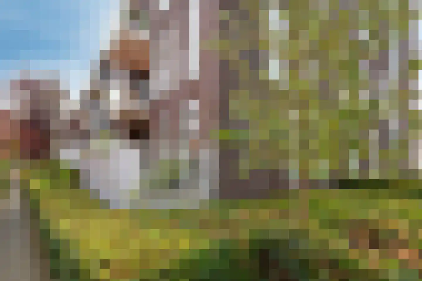 Prinses Máximastraat 12 Velp thumbnail 5