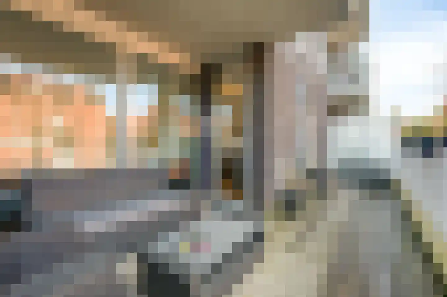 Prinses Máximastraat 24 Velp thumbnail 20